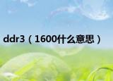 ddr3（1600什么意思）