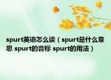 spurt英語(yǔ)怎么讀（spurt是什么意思 spurt的音標(biāo) spurt的用法）