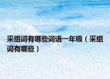 采組詞有哪些詞語一年級(jí)（采組詞有哪些）