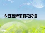 今日更新茉莉花花語