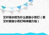 艾葉焯水時(shí)為什么要放小蘇打（煮艾葉要放小蘇打嗎詳細(xì)介紹）
