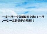 一丈一尺一寸分別是多少米?（一尺,一寸,一丈各是多少厘米?）