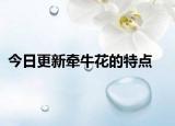 今日更新?tīng)颗；ǖ奶攸c(diǎn)