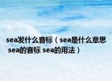 sea發(fā)什么音標(biāo)（sea是什么意思 sea的音標(biāo) sea的用法）