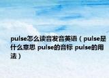pulse怎么讀音發(fā)音英語(yǔ)（pulse是什么意思 pulse的音標(biāo) pulse的用法）