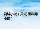 靈域小說(shuō)（靈域 黑巖網(wǎng)小說(shuō)）