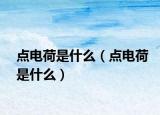 點(diǎn)電荷是什么（點(diǎn)電荷是什么）