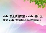 cider怎么讀音發(fā)音（cider是什么意思 cider的音標(biāo) cider的用法）
