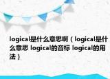 logical是什么意思啊（logical是什么意思 logical的音標(biāo) logical的用法）