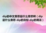 dip的中文意思是什么意思?。╠ip是什么意思 dip的音標(biāo) dip的用法）