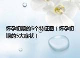 懷孕初期的5個(gè)特征圖（懷孕初期的5大癥狀）