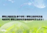 螃蟹公母的區(qū)別,哪個好吃（螃蟹公的好吃還是母的好吃 螃蟹公的好吃還是母的好吃怎么區(qū)分）