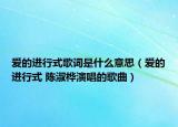 愛的進(jìn)行式歌詞是什么意思（愛的進(jìn)行式 陳淑樺演唱的歌曲）