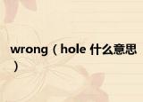 wrong（hole 什么意思）