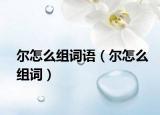 爾怎么組詞語(yǔ)（爾怎么組詞）