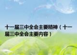 十一屆三中全會主要精神（十一屆三中全會主要內(nèi)容）