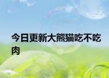 今日更新大熊貓吃不吃肉