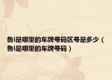 魯l是哪里的車牌號碼區(qū)號是多少（魯l是哪里的車牌號碼）
