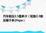 汽車胎壓2.5是多少（輪胎2.5胎壓等于多少kpa）