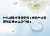 什么叫樓房開(kāi)盤(pán)搖號(hào)（房地產(chǎn)紅盤(pán)搖號(hào)是什么意思介紹）