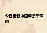 今日更新中國尊是干嘛的