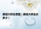 嘉紹大橋全景圖（嘉紹大橋全長(zhǎng)多少）