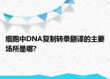 細(xì)胞中DNA復(fù)制轉(zhuǎn)錄翻譯的主要場所是哪?