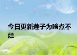 今日更新蓮子為啥煮不爛