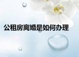 公租房離婚是如何辦理