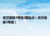 武漢地鐵3號線2期站點(diǎn)（武漢地鐵3號線）