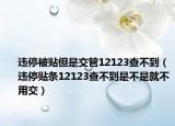 違停被貼但是交管12123查不到（違停貼條12123查不到是不是就不用交）