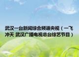 武漢一臺(tái)新聞綜合頻道央視（一飛沖天 武漢廣播電視總臺(tái)綜藝節(jié)目）
