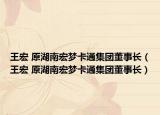 王宏 原湖南宏夢卡通集團董事長（王宏 原湖南宏夢卡通集團董事長）