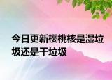 今日更新櫻桃核是濕垃圾還是干垃圾