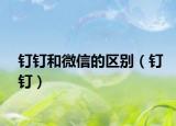 釘釘和微信的區(qū)別（釘釘）