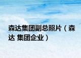 森達(dá)集團(tuán)副總照片（森達(dá) 集團(tuán)企業(yè)）