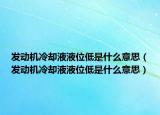 發(fā)動(dòng)機(jī)冷卻液液位低是什么意思（發(fā)動(dòng)機(jī)冷卻液液位低是什么意思）