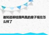 誰知道碧桂園鳳凰的房子現(xiàn)在怎么樣了