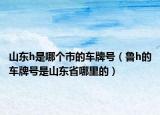 山東h是哪個(gè)市的車牌號(hào)（魯h的車牌號(hào)是山東省哪里的）