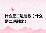 什么是二進(jìn)制數(shù)（什么是二進(jìn)制數(shù)）
