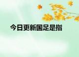 今日更新國足是指