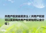 共有產(chǎn)權(quán)房能買賣么（共有產(chǎn)權(quán)房可以買賣嗎共有產(chǎn)權(quán)房如何認(rèn)定介紹）