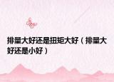 排量大好還是扭矩大好（排量大好還是小好）