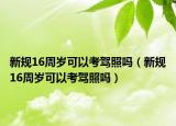 新規(guī)16周歲可以考駕照嗎（新規(guī)16周歲可以考駕照嗎）