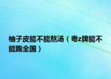 柚子皮能不能熬湯（粵z牌能不能跑全國）