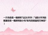 一只鳥銜著一根樹枝飛過太平洋（飛越太平洋的嘴里銜著一截樹枝的小鳥?此鳥到底是何方神圣?）