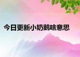 今日更新小奶鵝啥意思