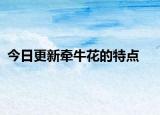 今日更新牽?；ǖ奶攸c