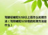 駕駛證被扣12分以上后怎么處理方法（駕照被扣12分后的處理方法是什么）