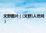 文野圖片（[文野]人世間）